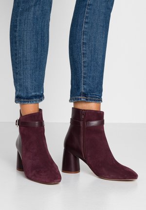 Classic ankle boots - bordeaux