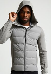 Giacca grigia chiara con zip, caratterizzata da un frontale trapuntato, maniche lisce e un cappuccio regolabile con una leggera lucentezza. Include tasche laterali.