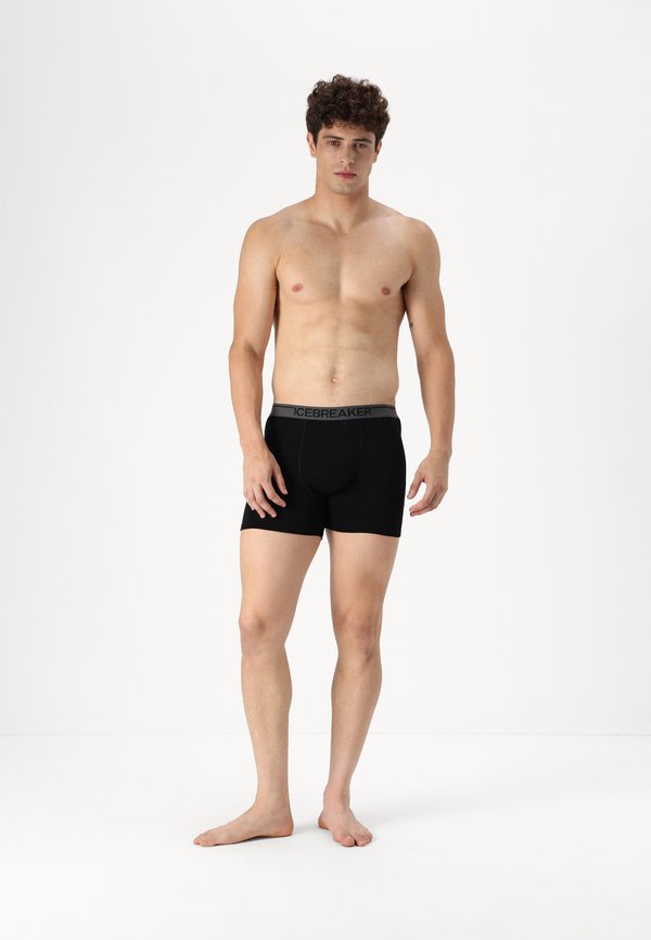 MEN MERINO 150 ANATOMICA BOXERS WFLY - Trunks4