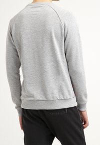 Sudadera gris con puños y dobladillo acanalado, con cuello redondo y mangas raglán, vista desde la parte de atrás. Pantalones negros visibles a la altura de la cintura.