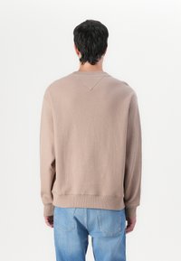 Tommy Jeans SCRIPT CREW - Sweater - coastal taupe