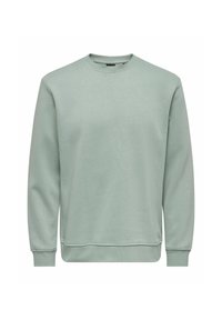 Felpa verde chiaro realizzata in misto cotone, con scollo a girocollo, polsini a coste e orlo dritto con dettagli di cucitura minimi.