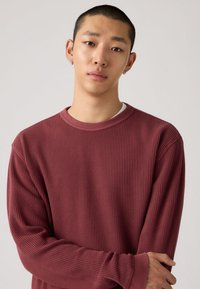 Νεαρός άνδρας με κοντά μαλλιά και σκουλαρίκια, φοράει μια υφασμάτινη μπορντό μπλούζα και στέκεται με σταυρωμένα τα χέρια μπροστά σε ένα απλό ανοιχτό φόντο.