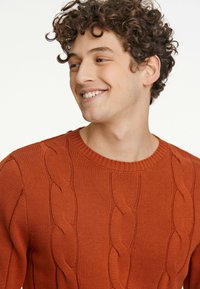 Strickpullover in Rostfarbe mit Kabelmuster, rundem Halsausschnitt und strukturierter Oberfläche, die Wärme und lässigen Stil betont.