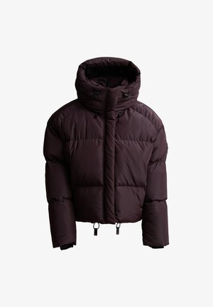 Zavetti Canada, W RIVERA TECH SHORT PUFFER JACKET - Veste d'hiver - chocolate plum