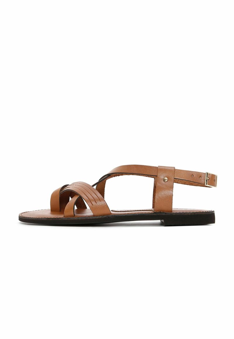 Sperry Top-Sider Sea Fish Flip Flop Sandals in Brown