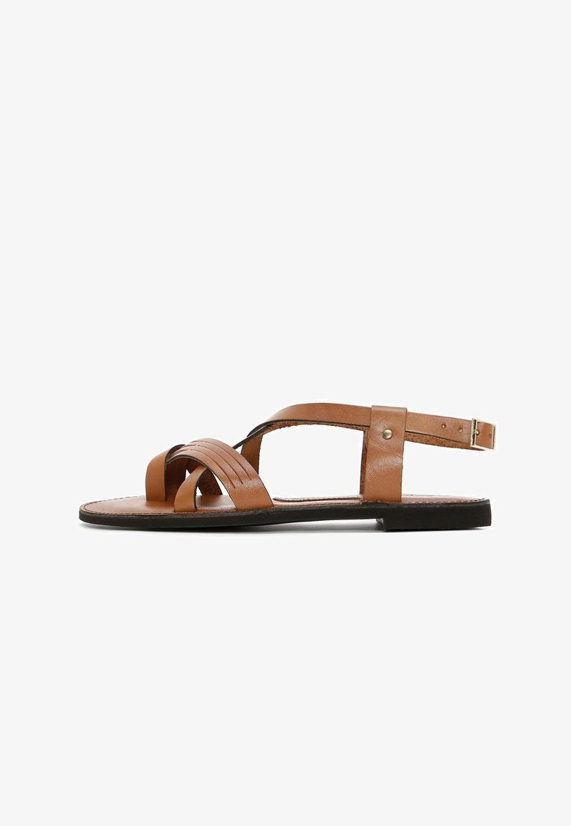 Sperry Top-Sider Sea Fish Flip Flop Sandals in Brown Sperry Top-Sider Sea Fish Flip Flop Sandals in Brown