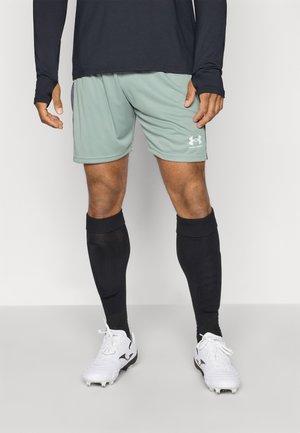 Under Armour CHALLENGER - Sports shorts - silica green/castlerock