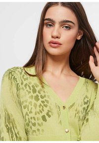 Lichtgroene cardigan met een luipaardprint, geribbelde halslijn en gouden knopen, gemaakt van een zachte, gestructureerde stof.