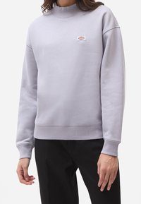 Ljusgrå sweatshirt med hög krage, ribbade ärmslut och nederkant. Har en liten logotypapplikation på bröstet. Tillverkad av ett texturerat tyg.