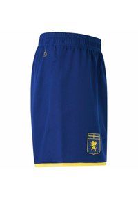 Pantaloni sportivi blu realizzati in tessuto leggero. Presentano un elastico giallo in vita e all'orlo, con un stemma che mostra un emblema di leone.