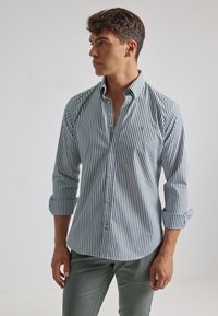 PuroEgo RAYAS - Camisa - verde