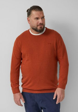 Mann mit Bart und zurückgebundenem Haar, der einen rostfarbenen Pullover über einem weißen Hemd und einer marineblauen Hose trägt, steht vor einem schlichten grauen Hintergrund.