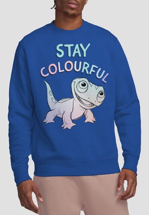 Man wearing blue sweatshirt with cartoon lizard and pastel text "STAY COLOURFUL" on the front.