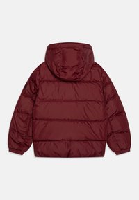 Tommy Hilfiger ESSENTIAL - Chaqueta de invierno - deep rouge
