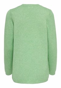 Pullover verde a maglia, maniche lunghe, collo rotondo, polsini e orlo a coste, texture morbida, design casual, semplice senza motivi o accenti.