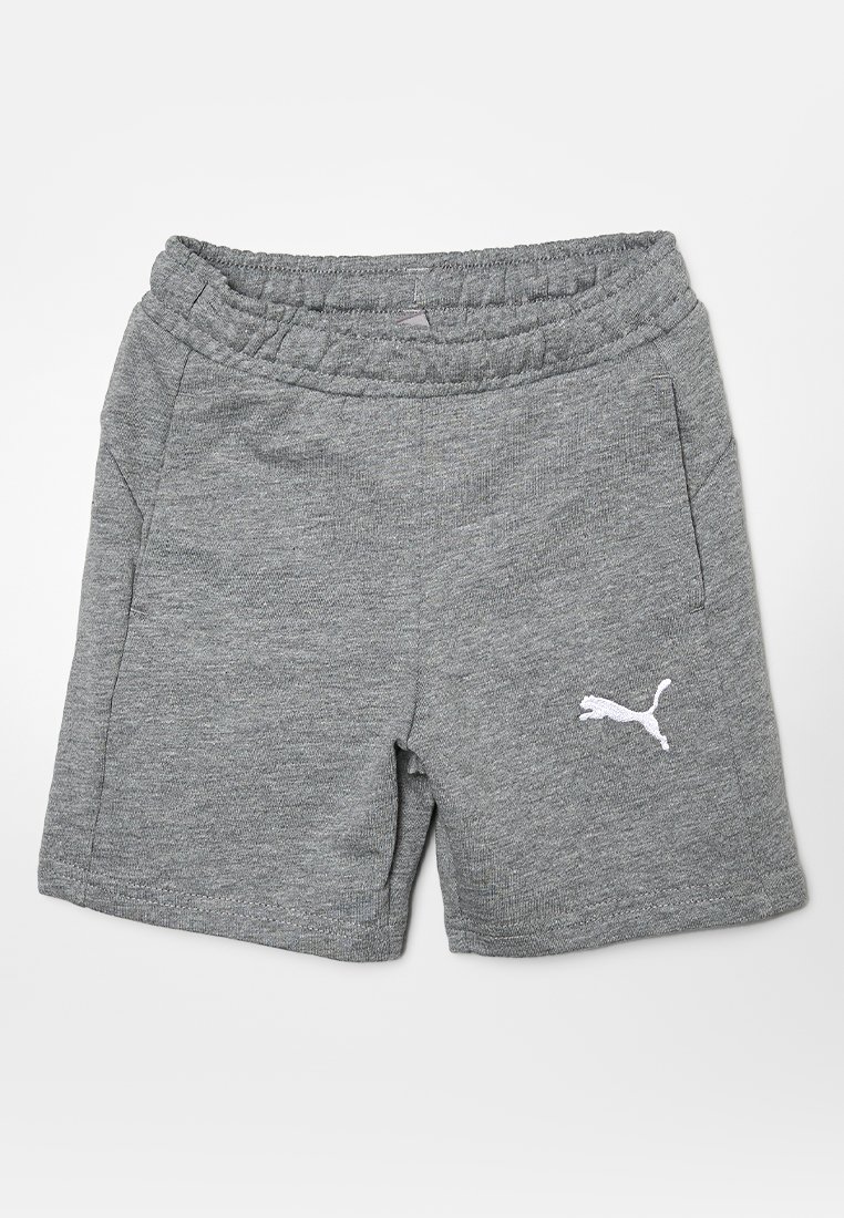 Puma Shorts grijs