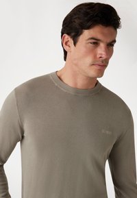 Lichtgrijze lange mouw crewneck trui van zachte stof. Bevat een subtiel geborduurd "GUESS" logo op de borst. Gladde textuur.
