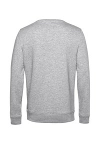 Grijze sweatshirt met een ronde hals, lange mouwen en geribde manchetten. Zachte textuur met een gladde afwerking, met een eenvoudig, minimalistisch ontwerp.