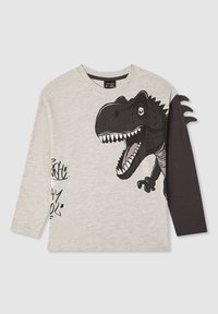 T-shirt grigio a maniche lunghe con una grafica di un dinosauro nero sul davanti e maniche nere, caratterizzato da un testo giocoso in stile graffiti.