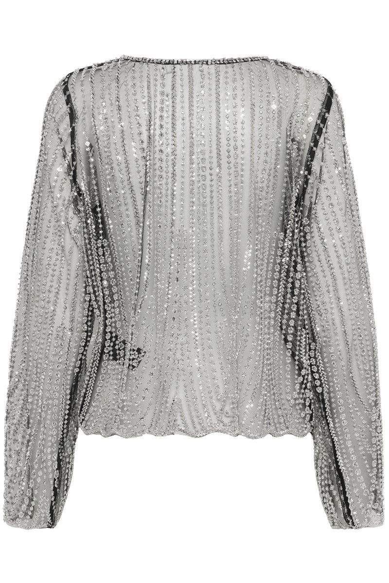 Silver sheer top with long sleeves, embellished with sequins in vertical lines. Features a round neck and slight gathers at the hem.