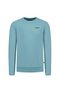Lichtblauwe sweatshirt, ronde hals, lange mouwen, ribgebreide manchetten en onderkant. Bevat een klein zwart logo aan de voorkant. Gladde textuur.