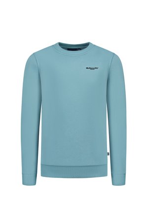 REGULAR FIT CREWNECK LS - Sweater - green