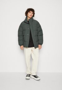 Carhartt WIP DANVILLE JACKET - Winter jacket - boxwood/black