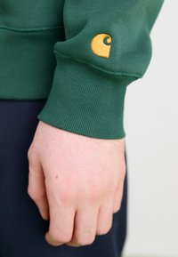 Grüner Sweatshirt mit gerippten Manschetten, mit einem kleinen gelben Logo am linken Ärmel. Der Stoff wirkt weich mit einer strukturierten Oberfläche.