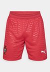 PORTUGAL FPF SHORTS REPLICA  - Sport rövidnadrágok - club red-green lagoon
