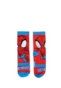 Calzini rossi con grafiche di Spiderman, polsini blu e un motivo che include Spiderman in azione con la scritta "SPIDEY" in basso.