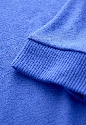 Next PETITE FIT COSY SOFT TOUCH LONG SLEEVE CREWNECK  - Maglione - blue