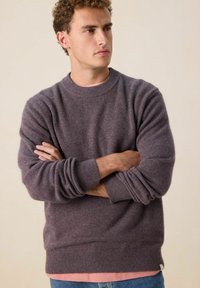 Pull-over en laine mélangée violet foncé, avec un col rond, des poignets et un ourlet côtelés. Porté sur une chemise rose clair, avec une coupe décontractée.