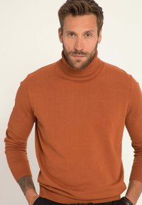 Rostfarbener Rollkragenpullover aus weichem Strickmaterial, mit langen Ärmeln und einem gerippten Kragen für zusätzliche Wärme und Textur.