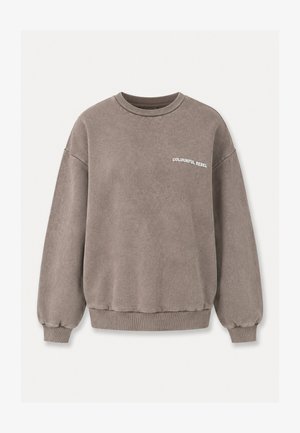 Colourful Rebel, NATURE IS THE NEW NIGHTCLUB ACID DROPPED SHOULDER - Sweatshirt - brown