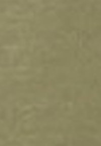 Struktureret overflade med en olivengrøn nuance, der har et subtilt mønster. Materialet virker blødt og let blankt.