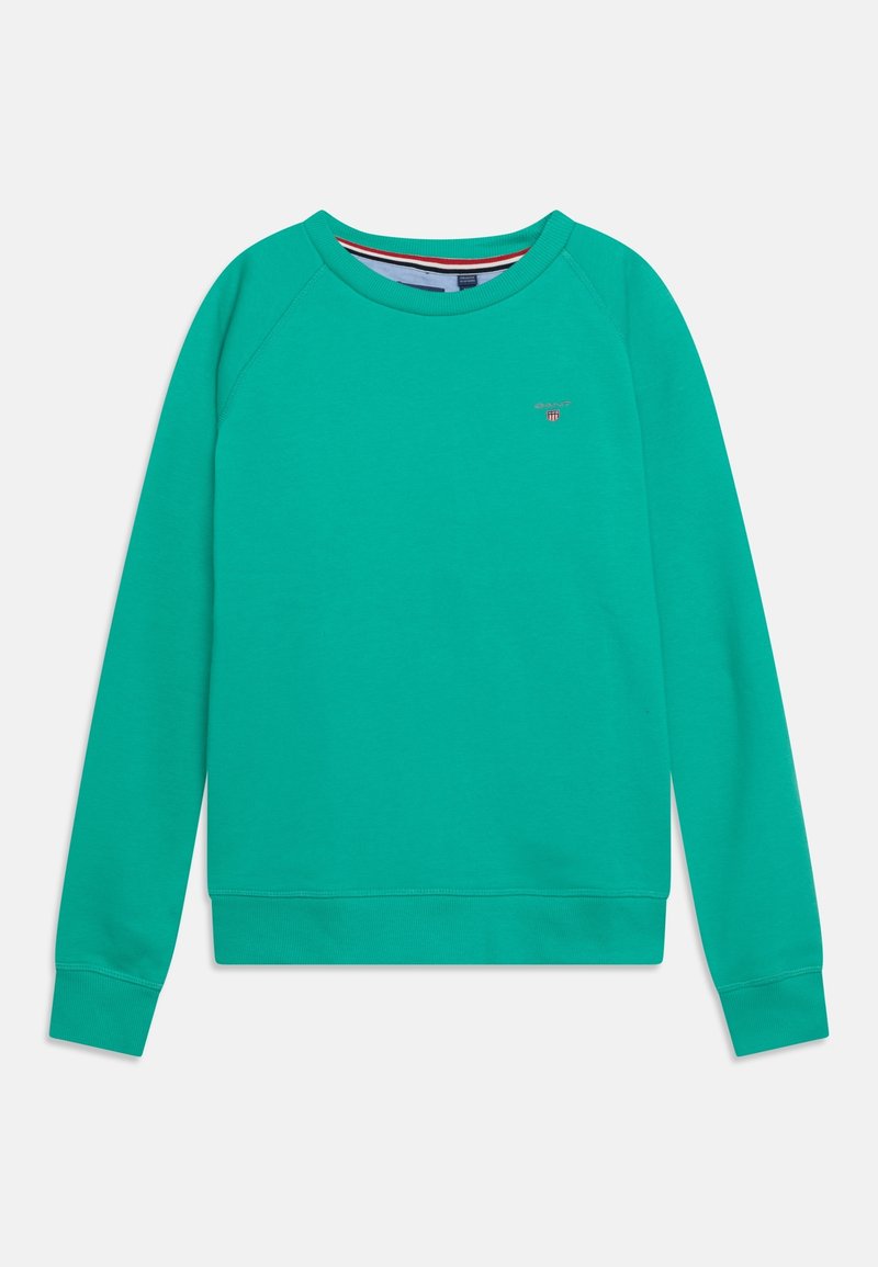 Sudadera verde con cuello redondo y mangas raglán. Confeccionada en algodón, presenta un pequeño logo en el pecho. Textura suave.