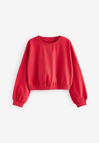 Next BOXY LONG SLEEVE 3 PACK - Mikina - red white animal