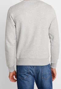 Lichtgrijze trui met lange mouwen, geribbelde manchetten en zoom, gemaakt van zachte stof. Heeft een klassieke ronde hals en een effen ontwerp.