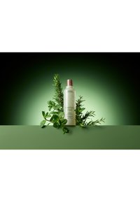 Fles Aveda Rozemarijn Munt Shampoo in een matbeige kleur met een bruine dop, omringd door groene rozemarijn- en muntblaadjes op een groene achtergrond.