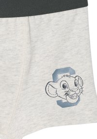 Light gray cotton boxer shorts featuring a dark waistband and a printed image of a lion cub's face alongside a blue letter "C."