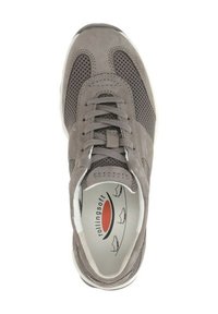 Grijze sportschoen van suede en mesh, met vetersluiting, ronde neus en gevoerde binnenzool.