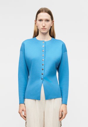 Kvinde med glat hår iført blå cardigan med guldknapper og cremefarvede bukser med vide ben, stående mod en ensfarvet lys baggrund.