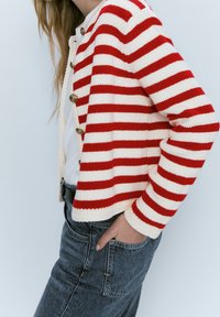 Massimo Dutti Kardigan