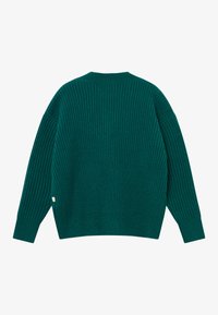 BLKVIS LOGO CARDIGAN - Kardigan - bottle green