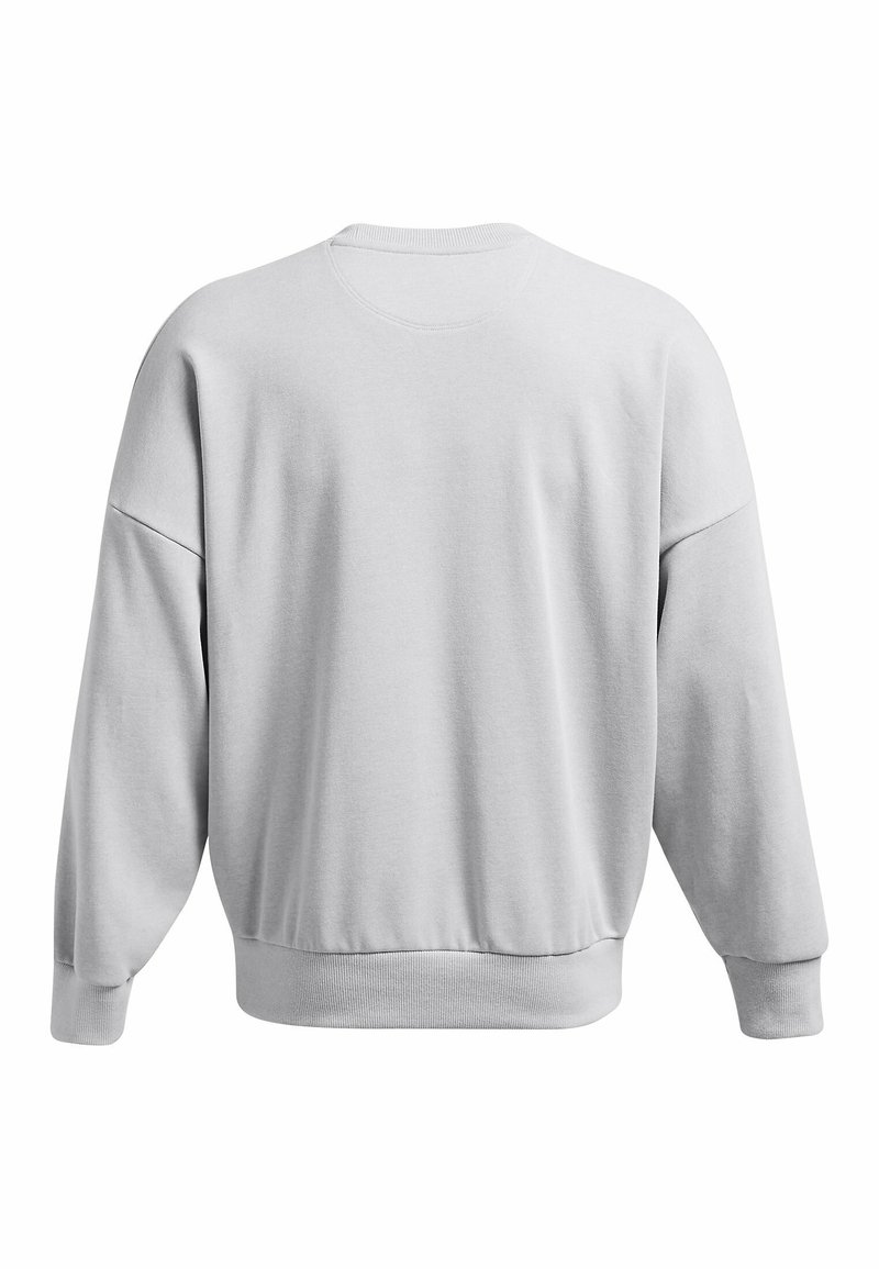 Sudadera de color gris claro mostrada desde atrás con mangas largas, puños acanalados y cinturilla acanalada.