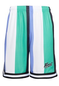 Pantaloni corti sportivi da uomo in tessuto a rete, con righe verticali verde, blu, bianco e nero, completa di bordi e logo in bianco e nero.