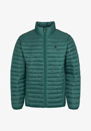 U.S. Polo Assn. MARK zielony