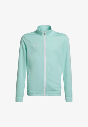 adidas Performance ENTRADA - Sweatjacke - tuerkis
