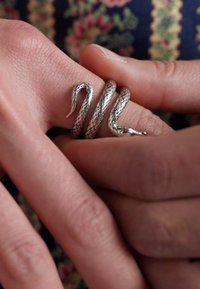 Sudraba čūsku gredzens, savijums ar teksturētām zvīņām, atrodas uz pirksta. Gredzens ir ar sīku galvu un sašaurinātu asti.